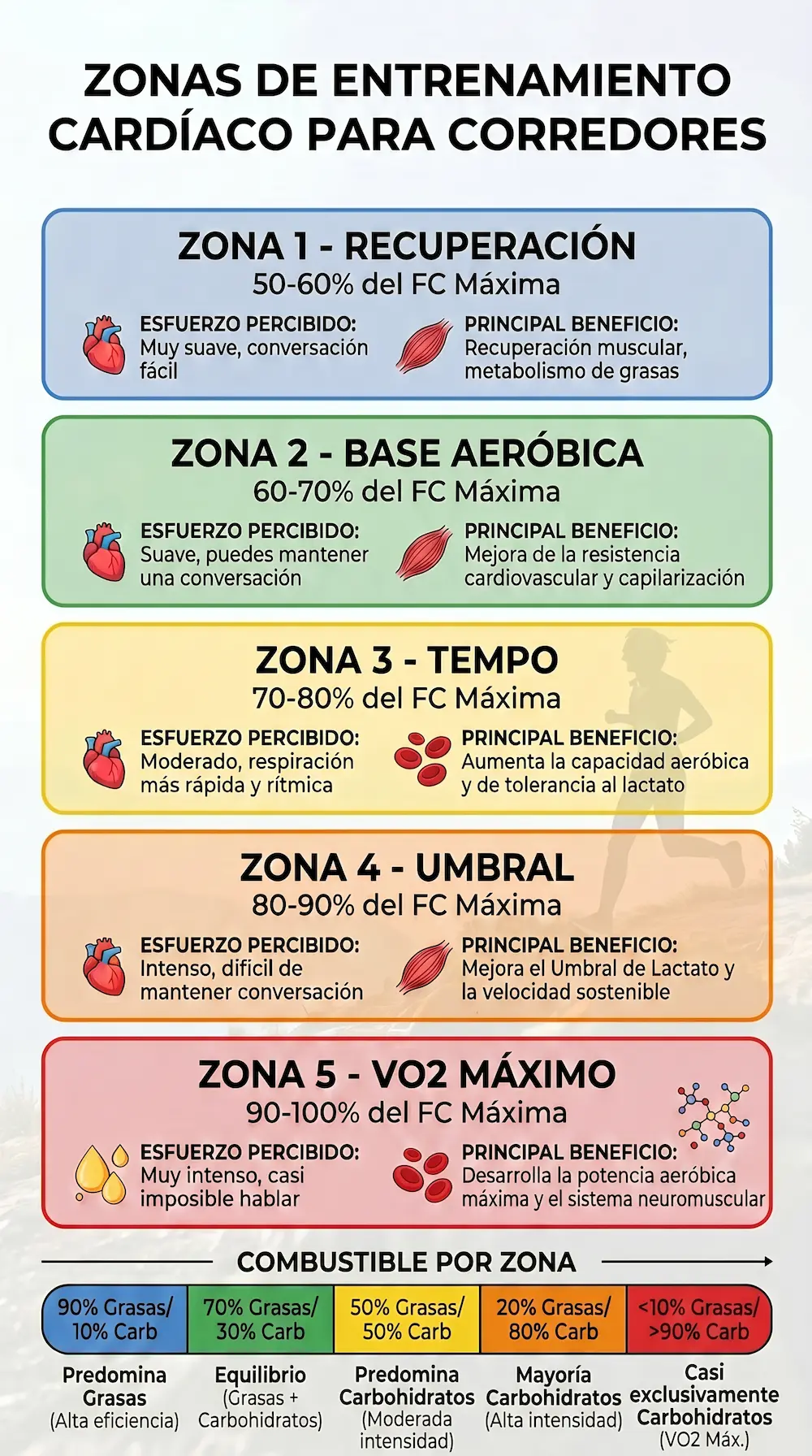 Infograf&iacute;a Zonas de Entrenamiento en Running